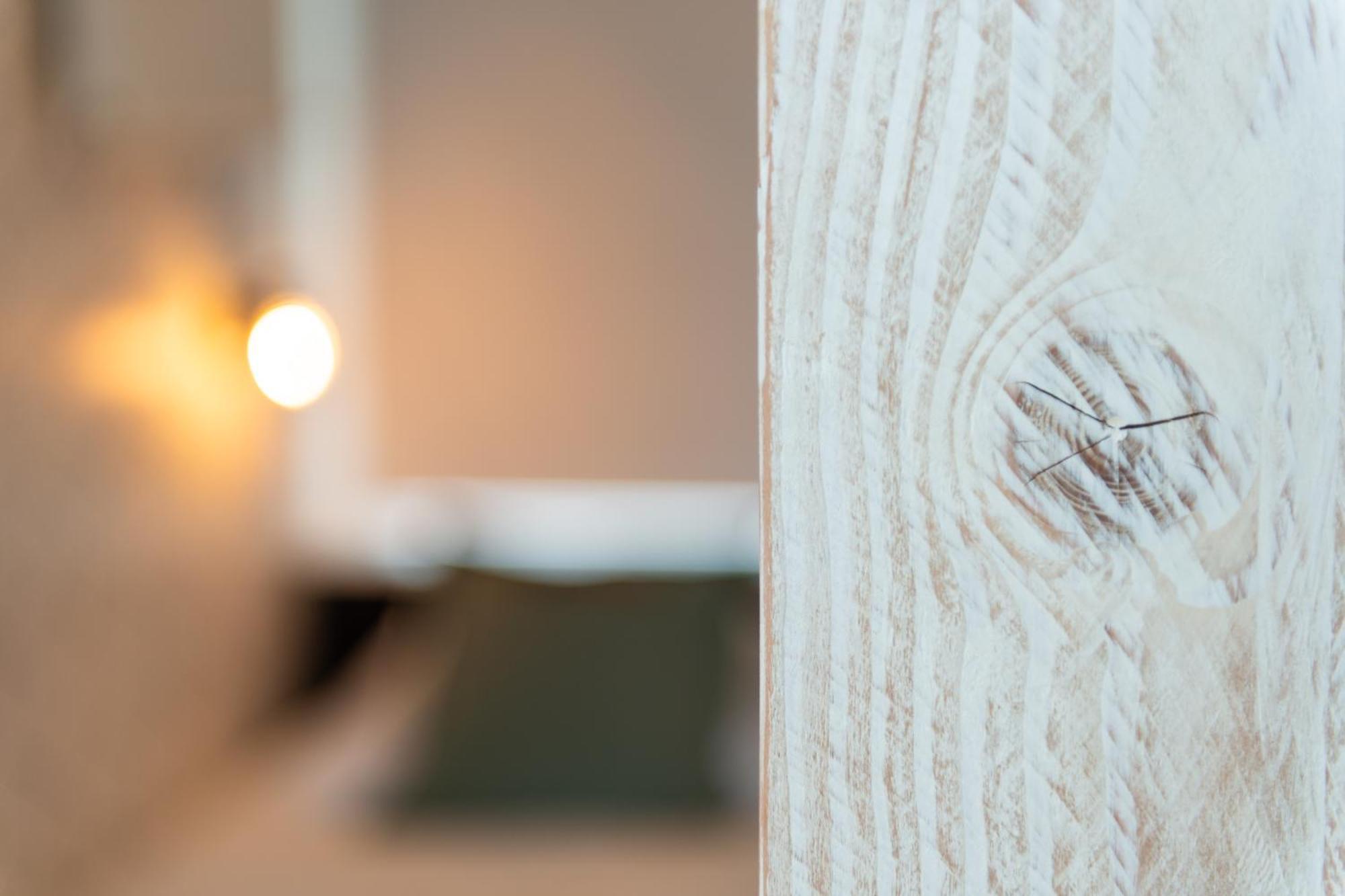 Appartement Zuyd Zandvoort Eksteriør bilde