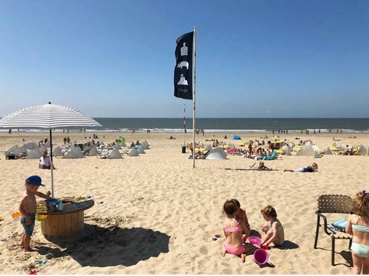 Appartement Zuyd Zandvoort Eksteriør bilde