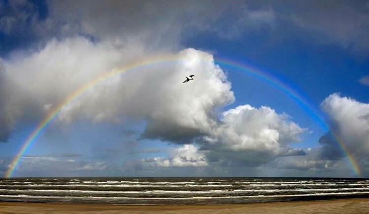 Appartement Zuyd Zandvoort Eksteriør bilde